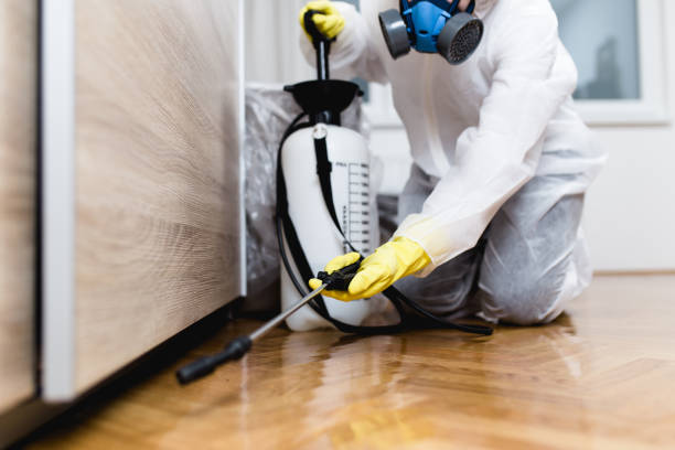 Best Pest Removal Services  in Forsyth, MO