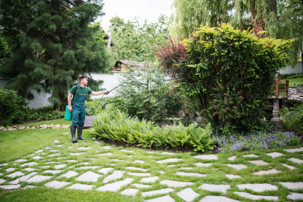 Best Mosquito Control Services  in Forsyth, MO