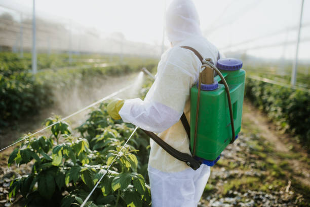 Best Local Pest Control Services  in Forsyth, MO